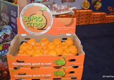 Shipper bin with Sumo citrus from Suntreat.